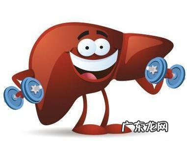 生活中有哪些养肝护肝的方法?