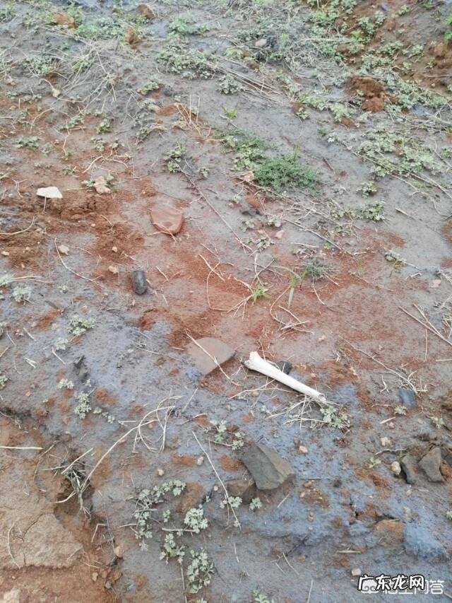 考古发掘后， 被发掘的古尸是怎么安置的？