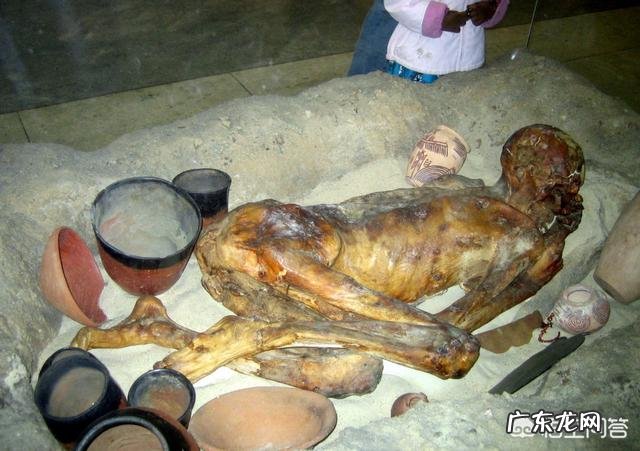 考古发掘后， 被发掘的古尸是怎么安置的？