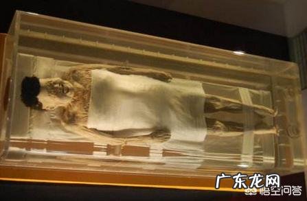 考古发掘后, 被发掘的古尸是怎么安置的?