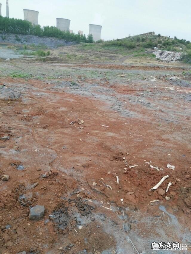 考古发掘后， 被发掘的古尸是怎么安置的？