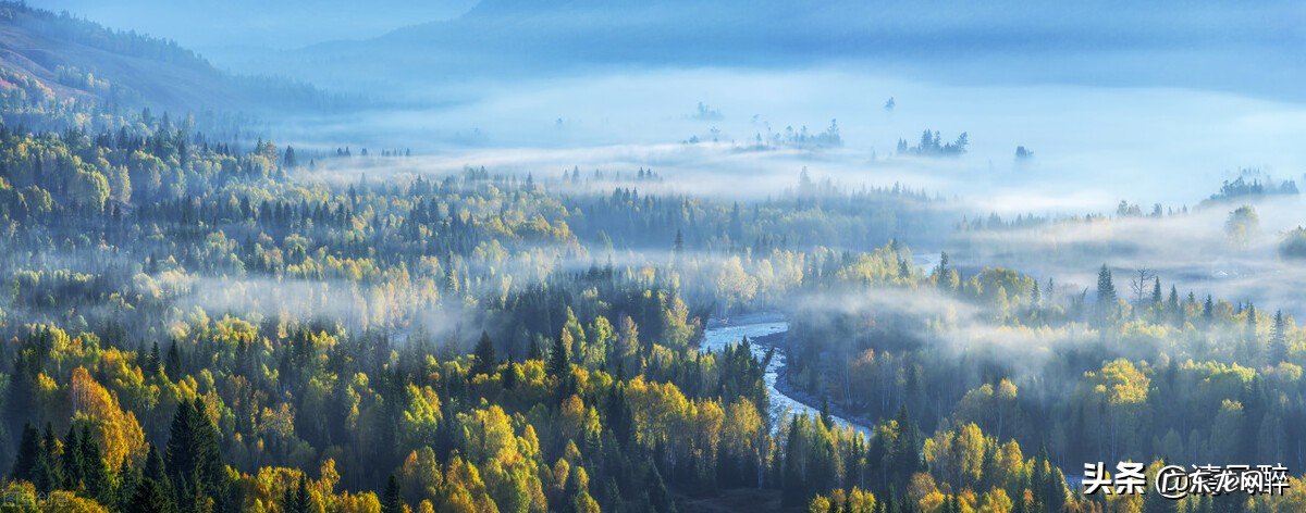 2022心情不好的说说句子 心情不好说说很现实的说说