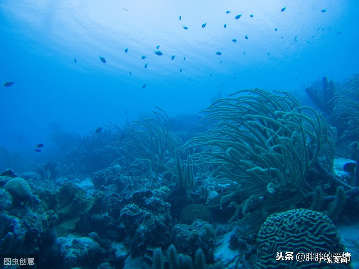 波澜壮阔可以造什么句子 波澜壮阔造句下一句