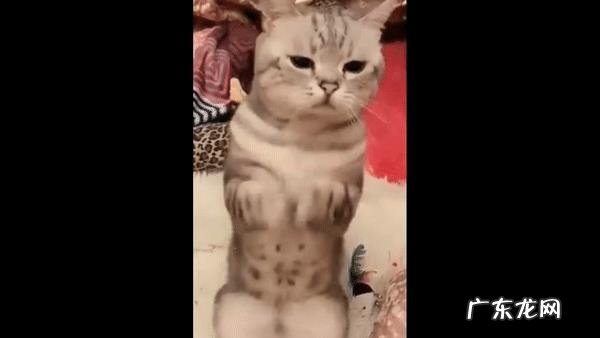 初中数学不好怎么办?