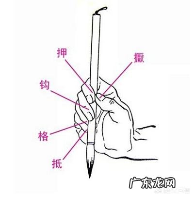 毛笔的正确握笔姿势是什么?