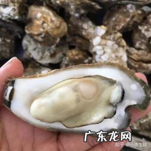 冰箱温度 生蚝如何储存保鲜， 生蚝放冰箱冷藏可以放多久