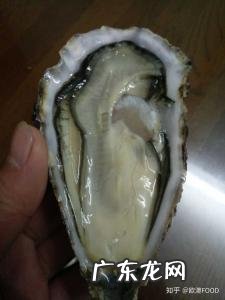 生蚝怎么清洗内脏图解&视频-生蚝怎么洗内脏,有没有步骤图解?