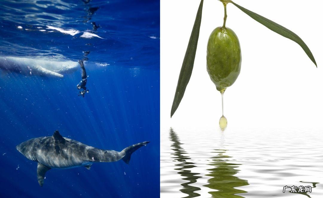 如何去除抬头纹 怎样去除抬头纹和法令纹