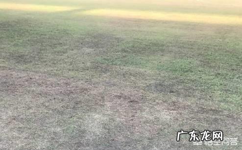 足协监督谈卓尔战建业延期：球场不利于技战术发挥，对中超有世界负面影响，你怎么看？