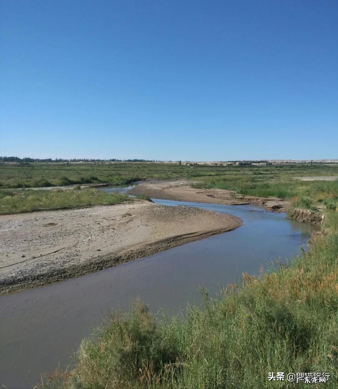 新疆阿图什市,有27万人口的无花果之乡 新疆无花果产地在哪