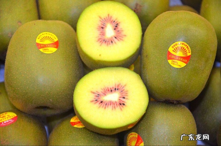 8大产区红心猕猴桃各有特色,哪些上过你的餐桌? 红心猕猴桃产地在哪里