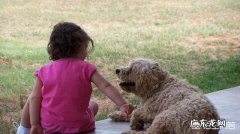 高功能自闭症的儿童，情绪很不稳定，语言能力也很差，怎么去干预效果比较好？