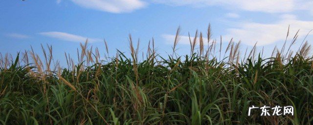 形容秋天的景色唯美句子