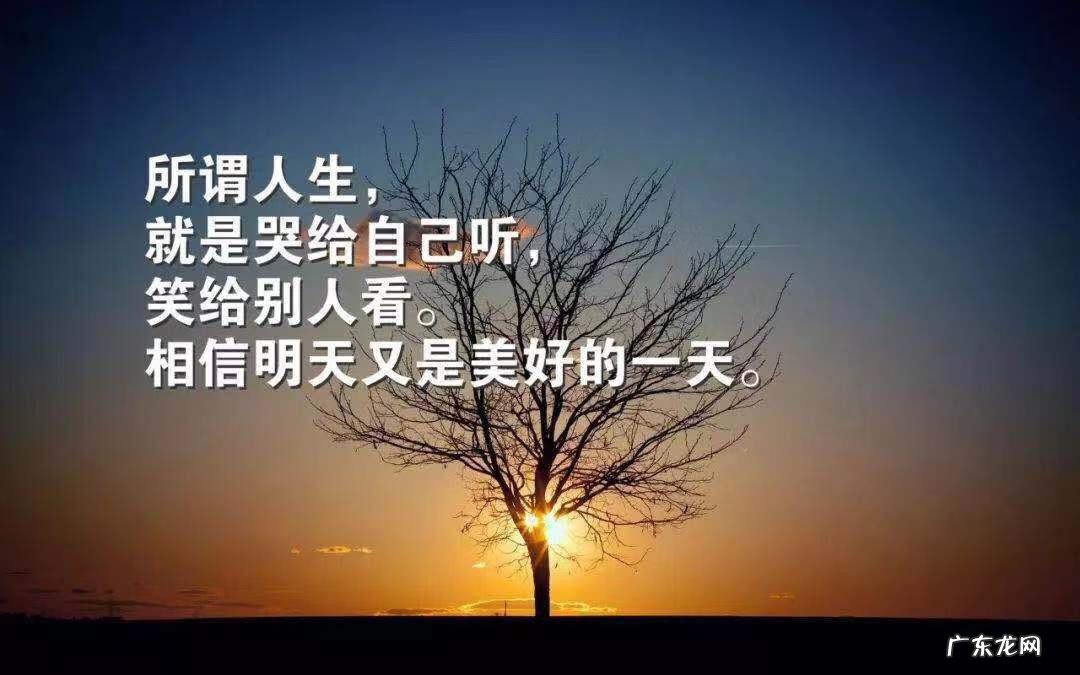 适合发朋友圈的美照句子