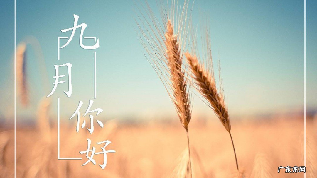 迎接九月的唯美句子