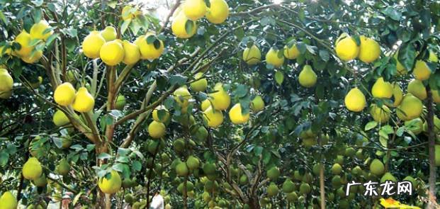 广西容县风水别墅 广西容县名山风水