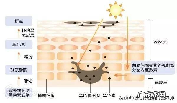 黄褐斑跟洗面奶有关系吗?