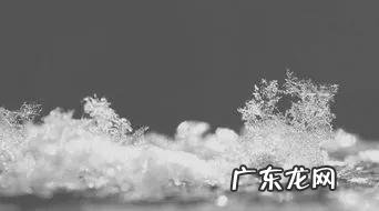 雪花像什么飘落下来 雪花像什么东西