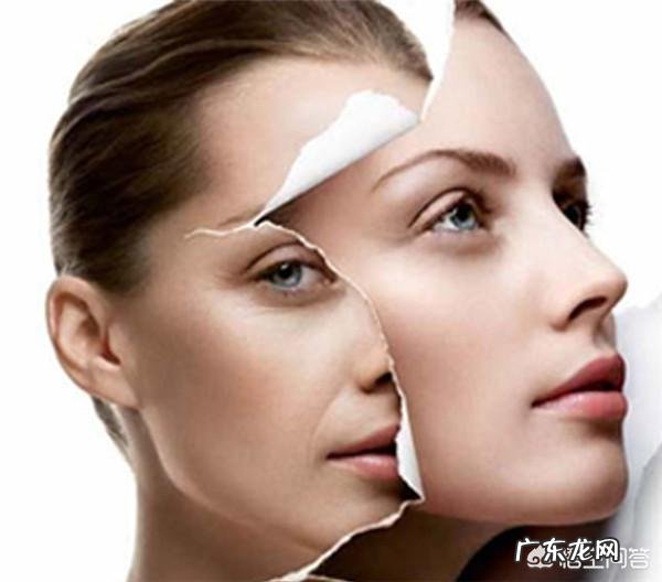 干性皮肤,冬天用什么护肤品比较好?