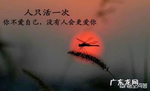 爱情与自爱哪个更重要?