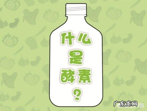 什么是酵素?酵素到底有什么用?