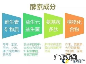 什么是酵素？酵素到底有什么用？