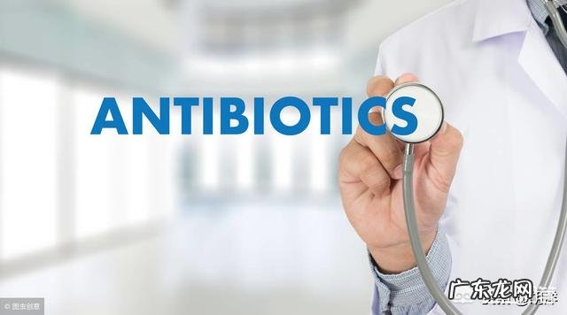 什么是酵素？酵素到底有什么用？