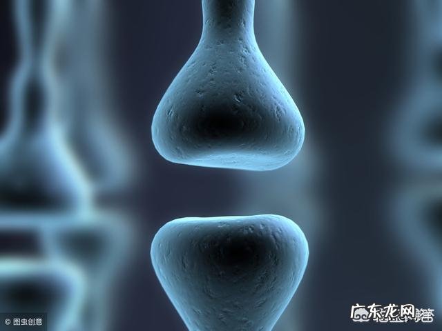 什么是酵素？酵素到底有什么用？