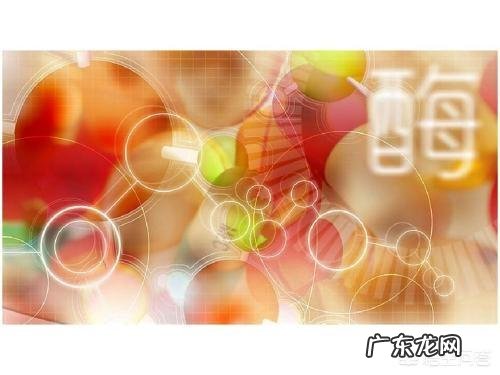 什么是酵素?酵素到底有什么用?