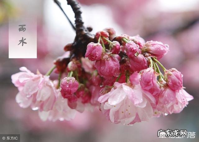 今日又逢雨水节气，在农村地区雨水节气都有哪些习俗呢？