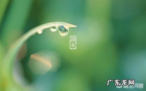 今日又逢雨水节气，在农村地区雨水节气都有哪些习俗呢？