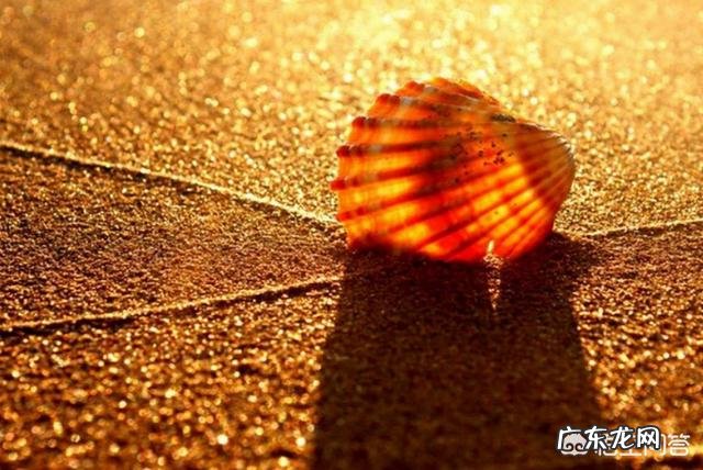 结合自身经验谈谈小学、初中、高中和大学阶段，可任选一个阶段，有哪些高效学习法？