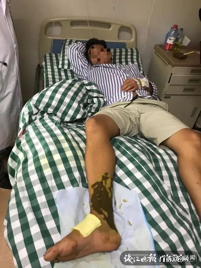 浙江19岁小伙被蛇咬伤,抽血时吓懵:血怎么像牛奶!网友:是蛇“救”了你啊 木耳的香气什么梗