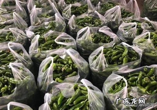 青椒来源于哪里 青椒产地在哪里