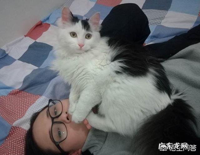 女生养什么宠物好？