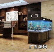 家门口有水池好吗 办公楼前有水池风水好不好