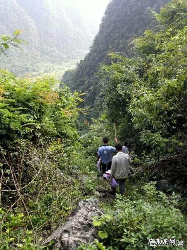为什么南宁作为广西的首府，在众多优势资源下还有马山、上林、隆安三个国家级贫困县？