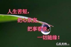 为什么我的朋友离我越来越远？