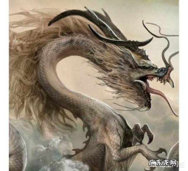 明明没有龙这种生物,为什么中西方传说中都有关于龙的记载?