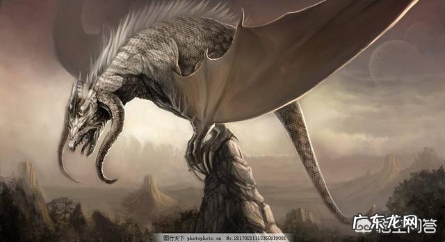 明明没有龙这种生物,为什么中西方传说中都有关于龙的记载?