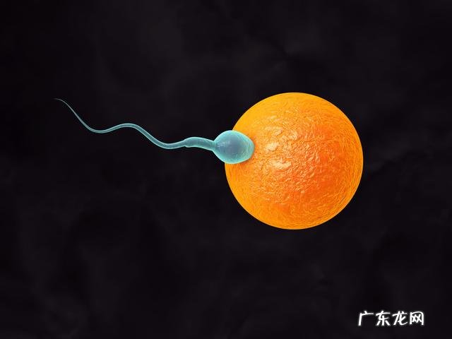 还有一周来月经,什么情况下是怀孕症状?