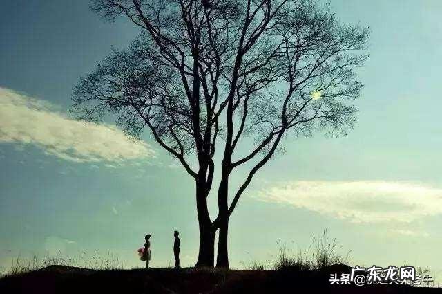 现代诗只能称作分行的散文,你同意吗?