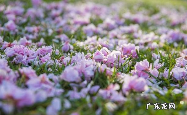 正能量的激励人的句子:持之以恒的奋斗,才是实现梦想的必由之路 持之以恒造句大全