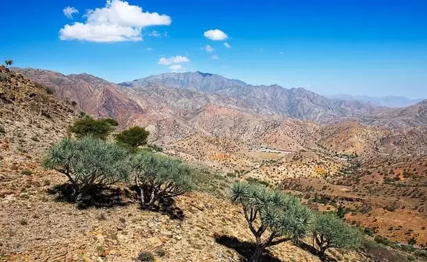 正能量的激励人的句子:持之以恒的奋斗,才是实现梦想的必由之路 持之以恒造句大全