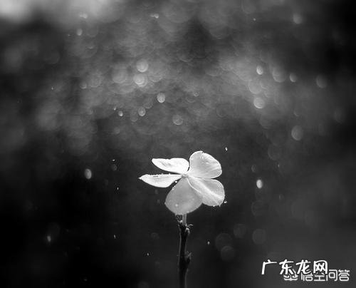 有哪些伤感的情话短句？