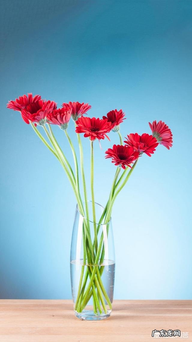 有哪些伤感的情话短句？