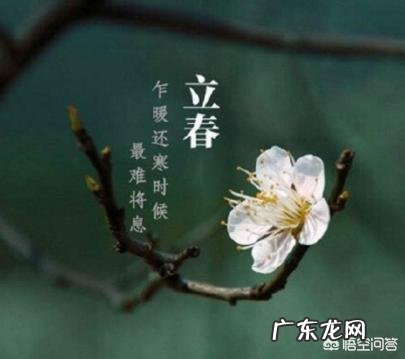 农村人说的“寡妇年”是什么意思？2019是不是“寡妇年”？