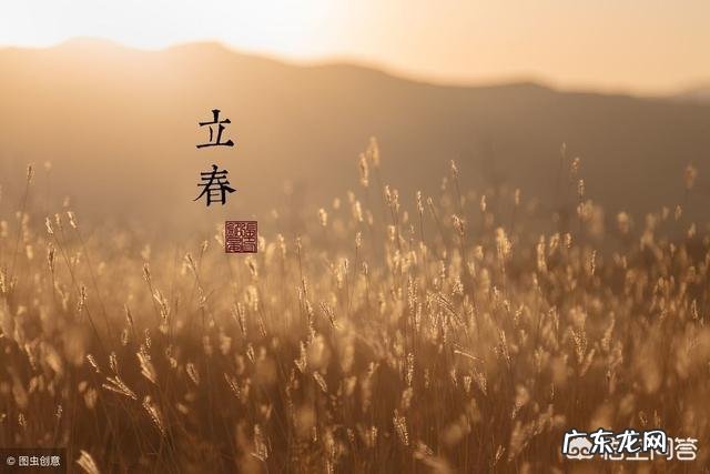 农村人说的“寡妇年”是什么意思?2019是不是“寡妇年”?