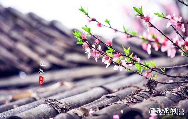 农村人说的“寡妇年”是什么意思？2019是不是“寡妇年”？