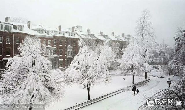 全国冻哭预警,你在哪,有多冷?